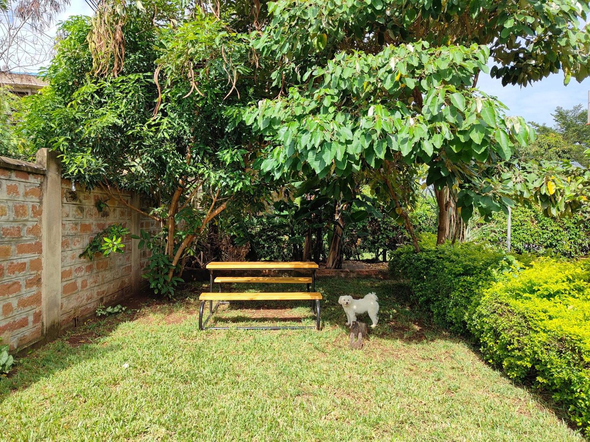 Milimani Drive Livings Daire Kisumu Dış mekan fotoğraf