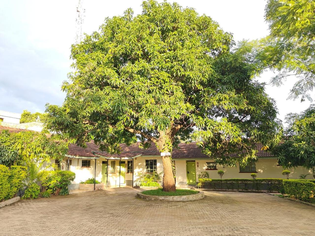 Milimani Drive Livings Daire Kisumu Dış mekan fotoğraf